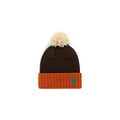 Pompom Beanie